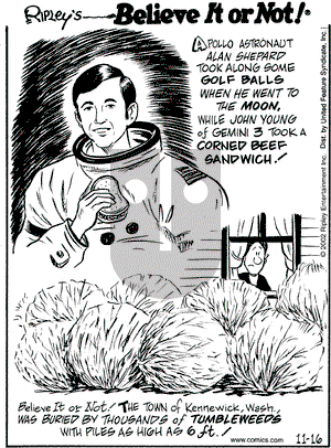 Ripley's Believe It or Not on Saturday November 16, 2002 Comic Strip