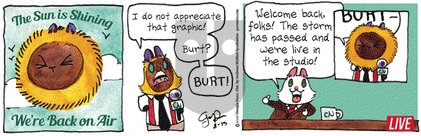 Breaking Cat News on Tuesday August 13, 2019 Comic Strip