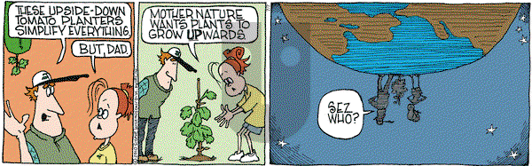 Family Tree - Wednesday July 7, 2010 Comic Strip