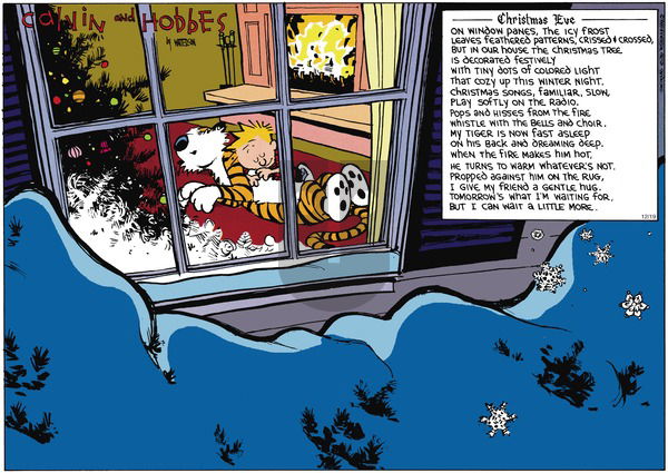 Calvin and Hobbes on Sunday December 24, 1989 Comic Strip