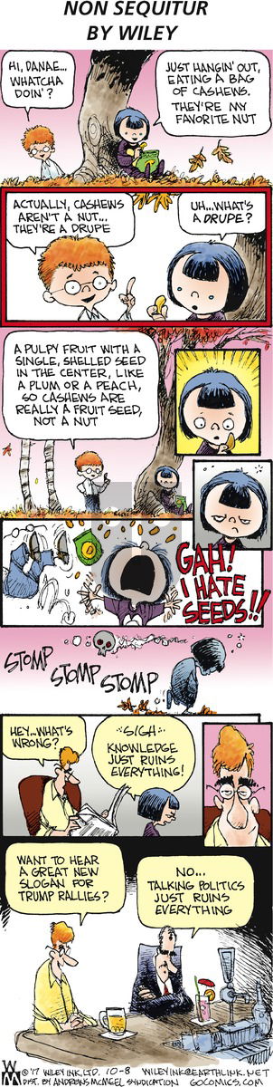 Non Sequitur on Sunday October 8, 2017 Comic Strip