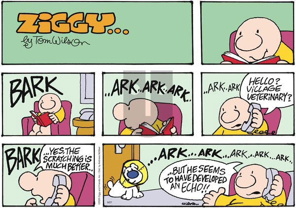 Ziggy on Sunday September 27, 2020 Comic Strip