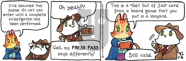 Breaking Cat News on Friday May 8, 2020 Comic Strip