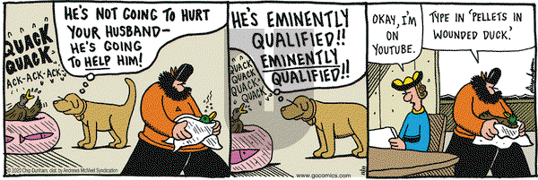 Overboard on Wednesday November 11, 2020 Comic Strip