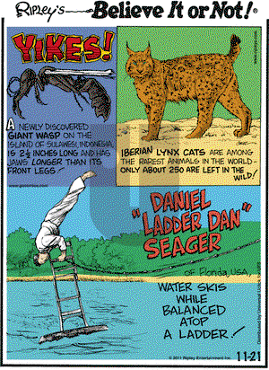 Ripley's Believe It or Not on Monday November 21, 2011 Comic Strip