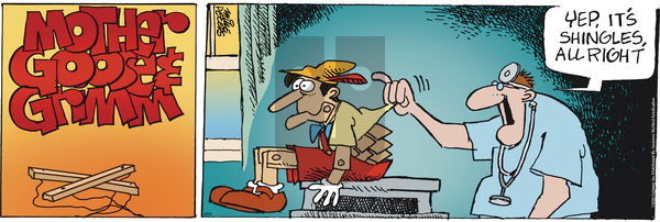Mother Goose and Grimm - Sunday June 16, 2024 Comic Strip