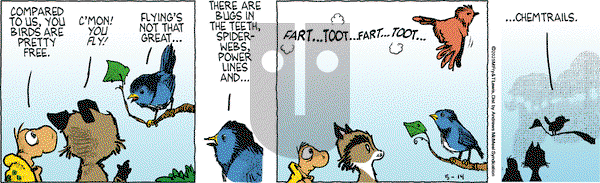 Over the Hedge on Wednesday May 14, 2025 Comic Strip