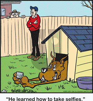 Marmaduke on Monday November 23, 2015 Comic Strip