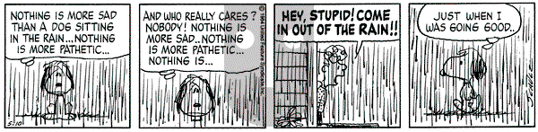 Peanuts on Thursday May 10, 1984 Comic Strip