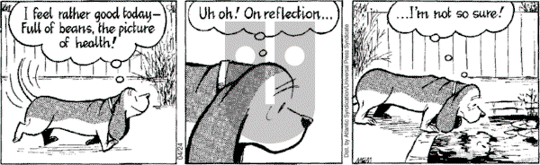 Fred Basset on Tuesday April 24, 2007 Comic Strip