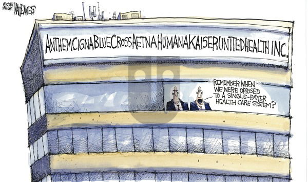 Matt Davies on Sunday July 26, 2015 Comic Strip