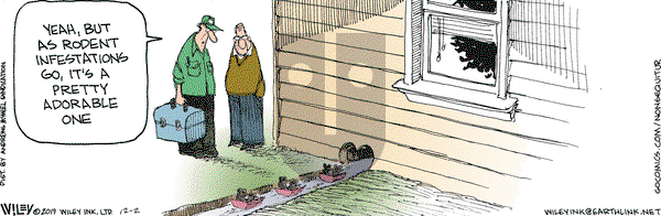 Non Sequitur on Monday December 2, 2019 Comic Strip