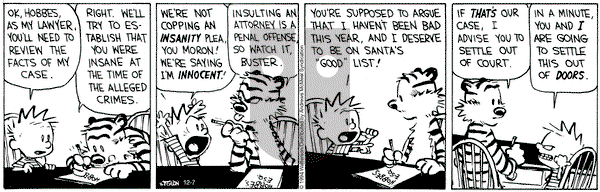 Calvin and Hobbes - Saturday December 7, 2024 Comic Strip