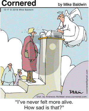 Cornered on Monday December 17, 2018 Comic Strip