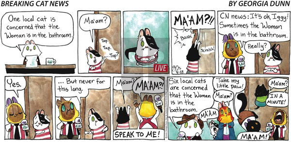 Breaking Cat News - Sunday April 28, 2024 Comic Strip