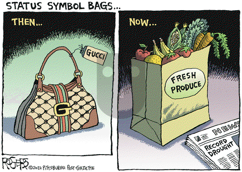 Rob Rogers on Thursday August 2, 2012 Comic Strip