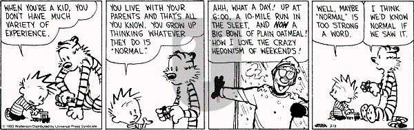 Calvin and Hobbes - Saturday March 13, 1993 Comic Strip