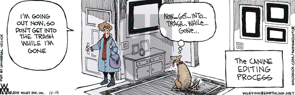 Non Sequitur on Tuesday December 15, 2015 Comic Strip