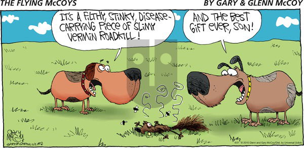 The Flying McCoys on Sunday June 21, 2015 Comic Strip