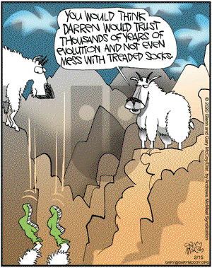 The Flying McCoys on Saturday February 15, 2020 Comic Strip
