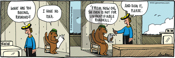 Overboard on Tuesday July 28, 2009 Comic Strip