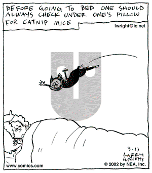Kit 'N' Carlyle on Wednesday March 13, 2002 Comic Strip