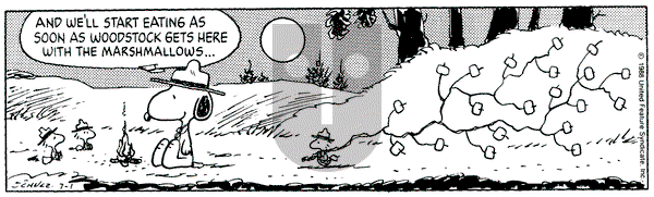 Peanuts on Friday July 1, 1988 Comic Strip