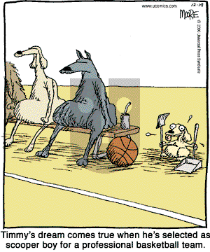 In the Bleachers - Tuesday December 19, 2000 Comic Strip