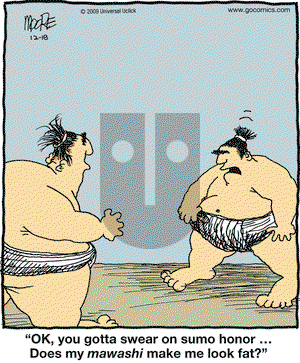 In the Bleachers on Friday December 18, 2009 Comic Strip
