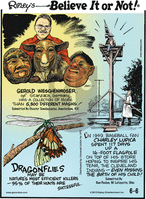 Ripley's Believe It or Not on Thursday June 6, 2013 Comic Strip