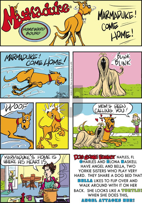 Marmaduke on Sunday October 23, 2016 Comic Strip