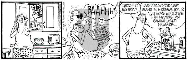 Monty on Tuesday May 29, 2007 Comic Strip