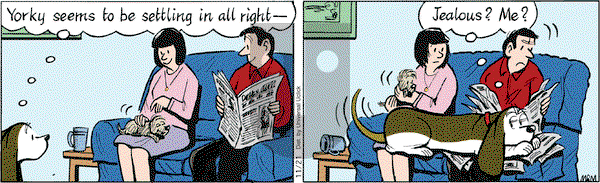 Fred Basset on Wednesday November 21, 2012 Comic Strip