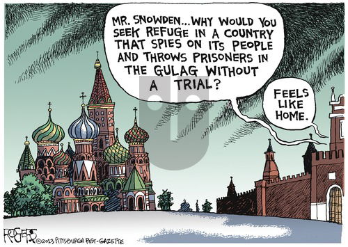 Rob Rogers on Sunday July 21, 2013 Comic Strip