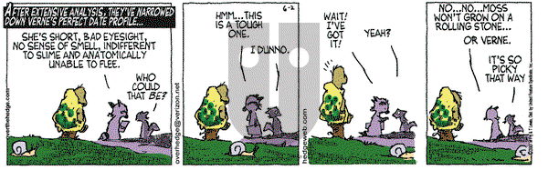 Over the Hedge on Monday July 2, 2007 Comic Strip