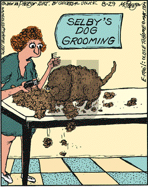 Close to Home on Wednesday August 29, 2012 Comic Strip