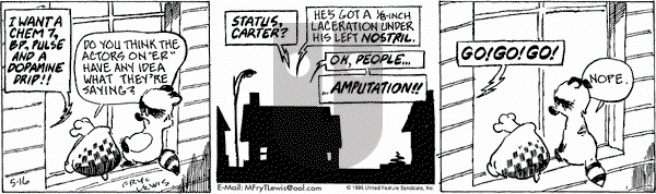 Over the Hedge on Thursday May 16, 1996 Comic Strip