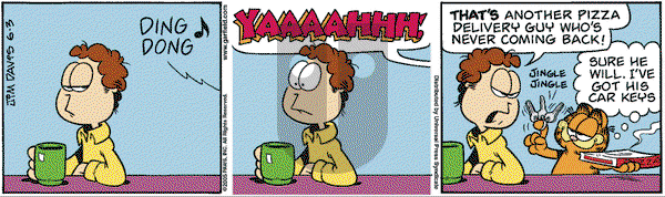 Garfield - Friday June 3, 2005 Comic Strip