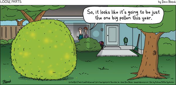 Loose Parts on Sunday June 22, 2025 Comic Strip