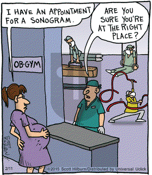 The Argyle Sweater on Wednesday February 11, 2015 Comic Strip