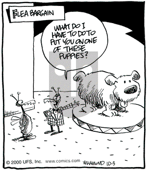 Reality Check on Tuesday October 3, 2000 Comic Strip