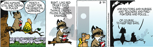 Over the Hedge on Monday August 31, 2020 Comic Strip