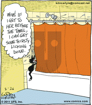 Kit 'N' Carlyle on Saturday February 26, 2011 Comic Strip