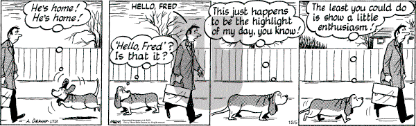 Fred Basset - Wednesday December 5, 2001 Comic Strip