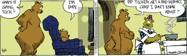 The Grizzwells on Friday June 14, 2019 Comic Strip