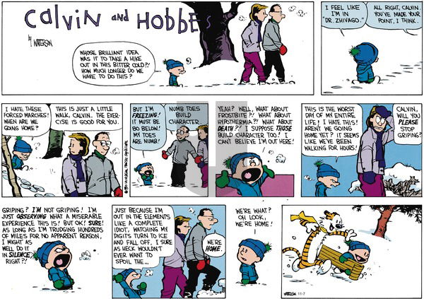 Calvin and Hobbes on Sunday January 21, 1990 Comic Strip