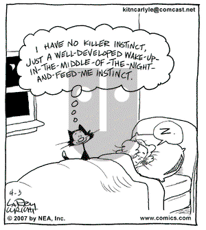Kit 'N' Carlyle on Tuesday June 5, 2007 Comic Strip