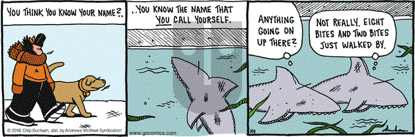Overboard on Friday March 9, 2018 Comic Strip