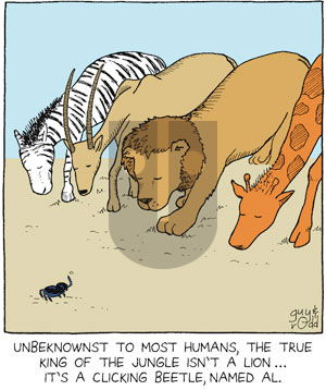 Brevity on Monday July 11, 2005 Comic Strip