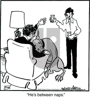 Marmaduke on Friday March 14, 2008 Comic Strip